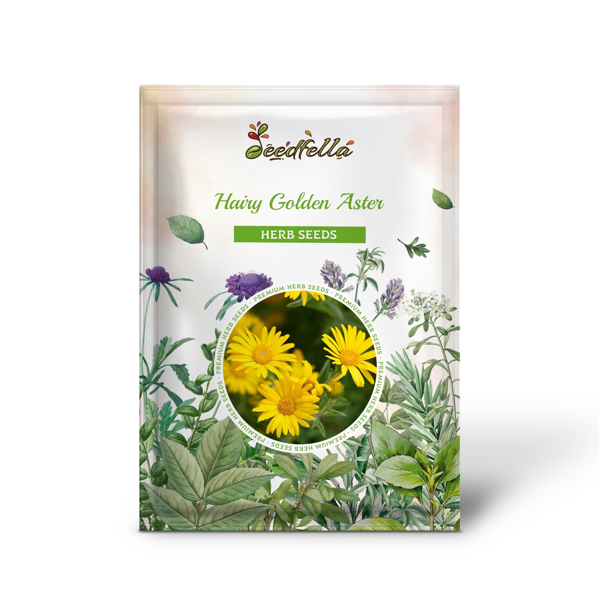 Bright yellow wildflowers grown from Hairy Golden Aster seeds