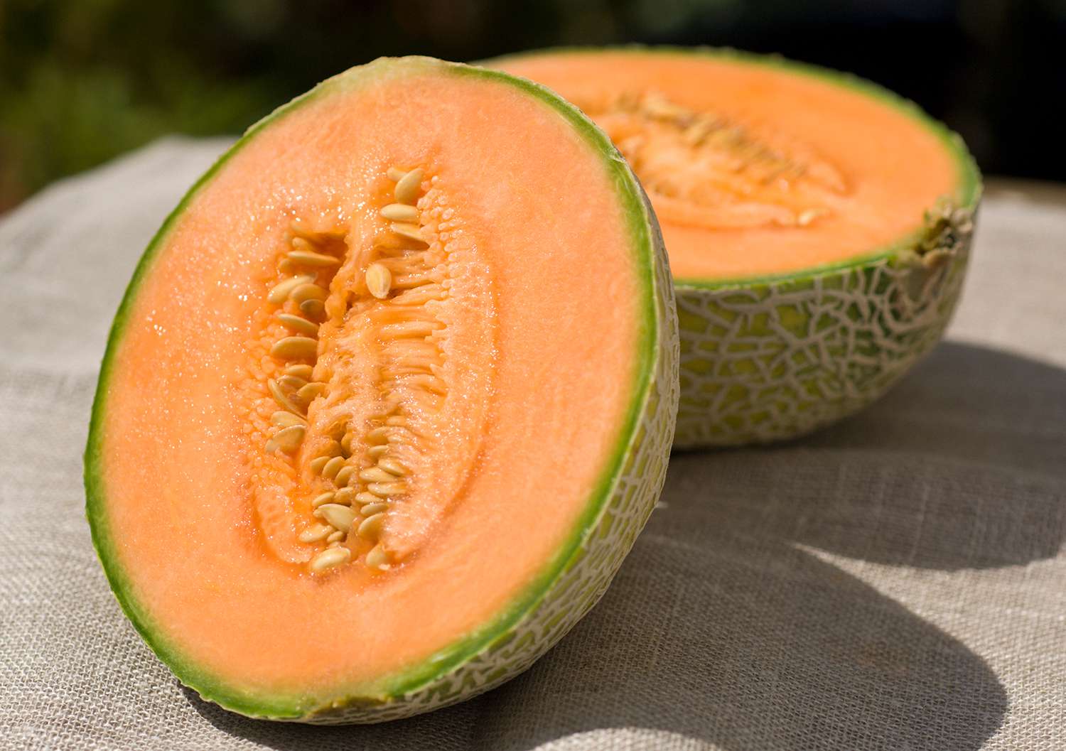 Hale’s Best Cucumis melo Seeds – Non-GMO Cantaloupe for Summer