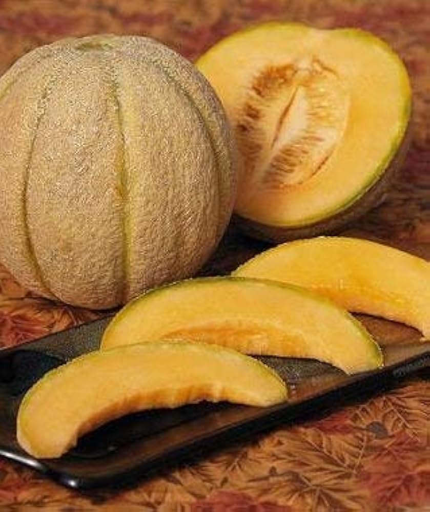 Halona Hybrid Melon seeds for planting
