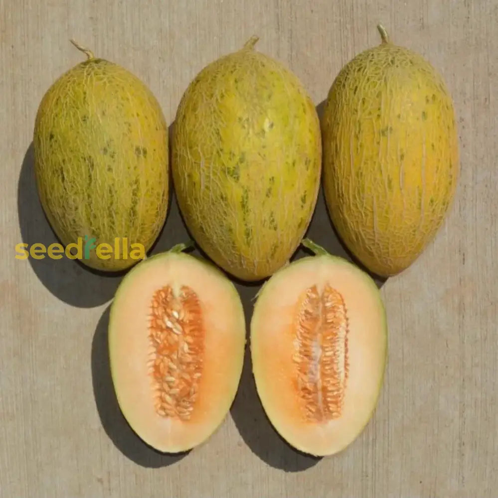 Hami Melon Seeds For Planting - Grow Sweet And Crisp Melons