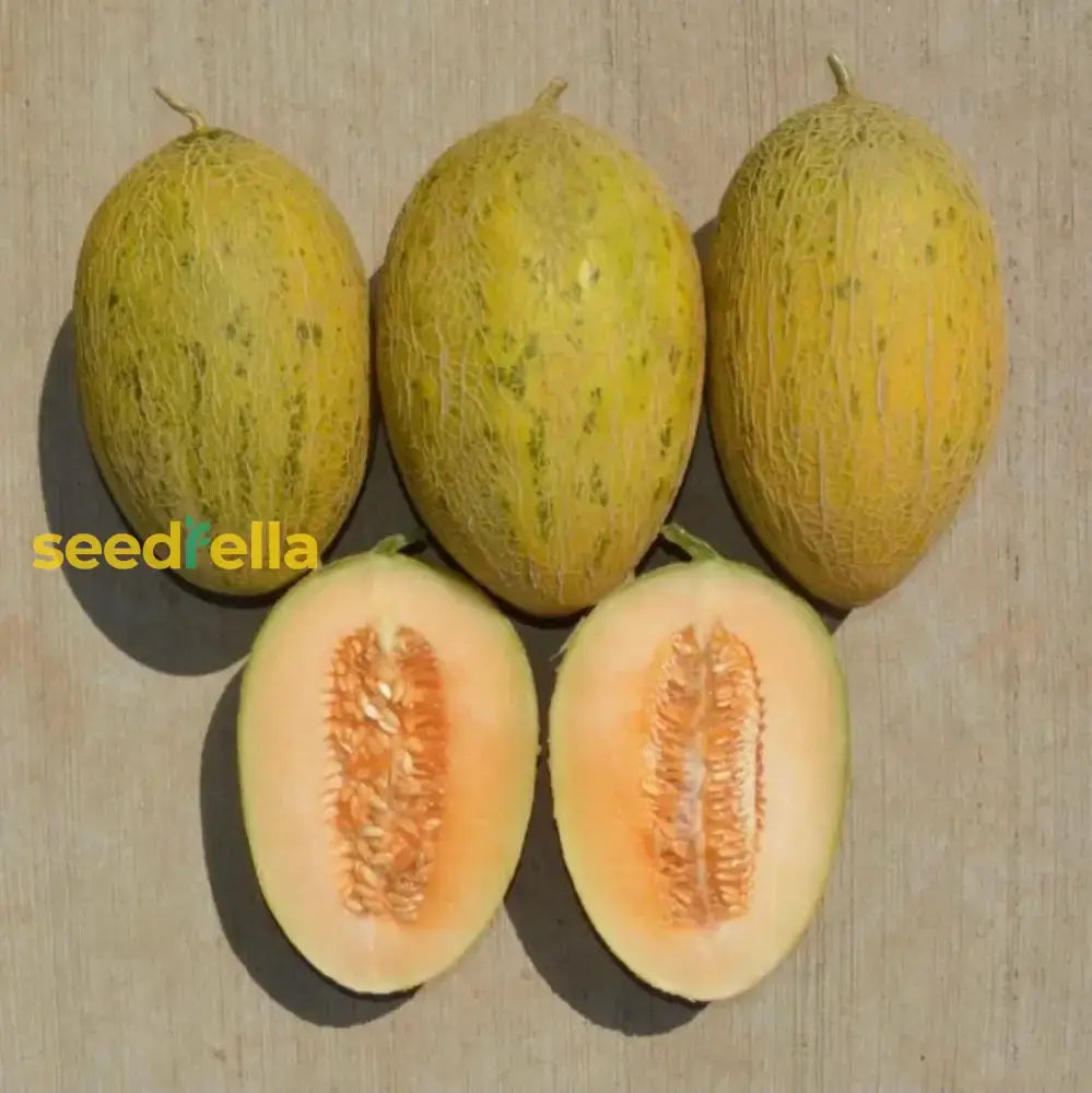 Hami Melon Seeds For Planting - Grow Sweet And Crisp Melons