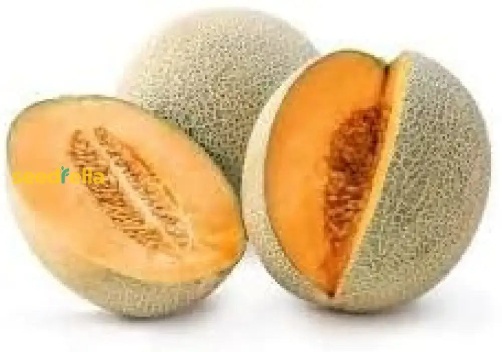 Hami Melon Seeds For Planting - Grow Sweet And Crisp Melons