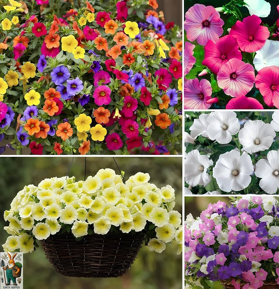 Hanging Petunia Flower Seeds with Blue and Yellow Blooms