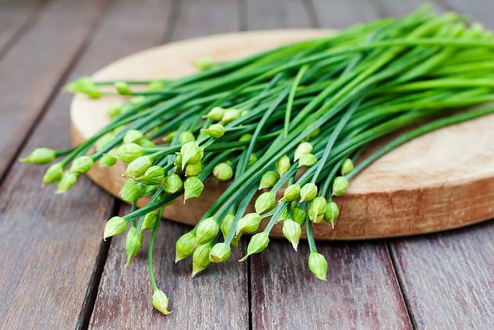 Hardy perennial Garlic Chives seeds for outdoor gardening