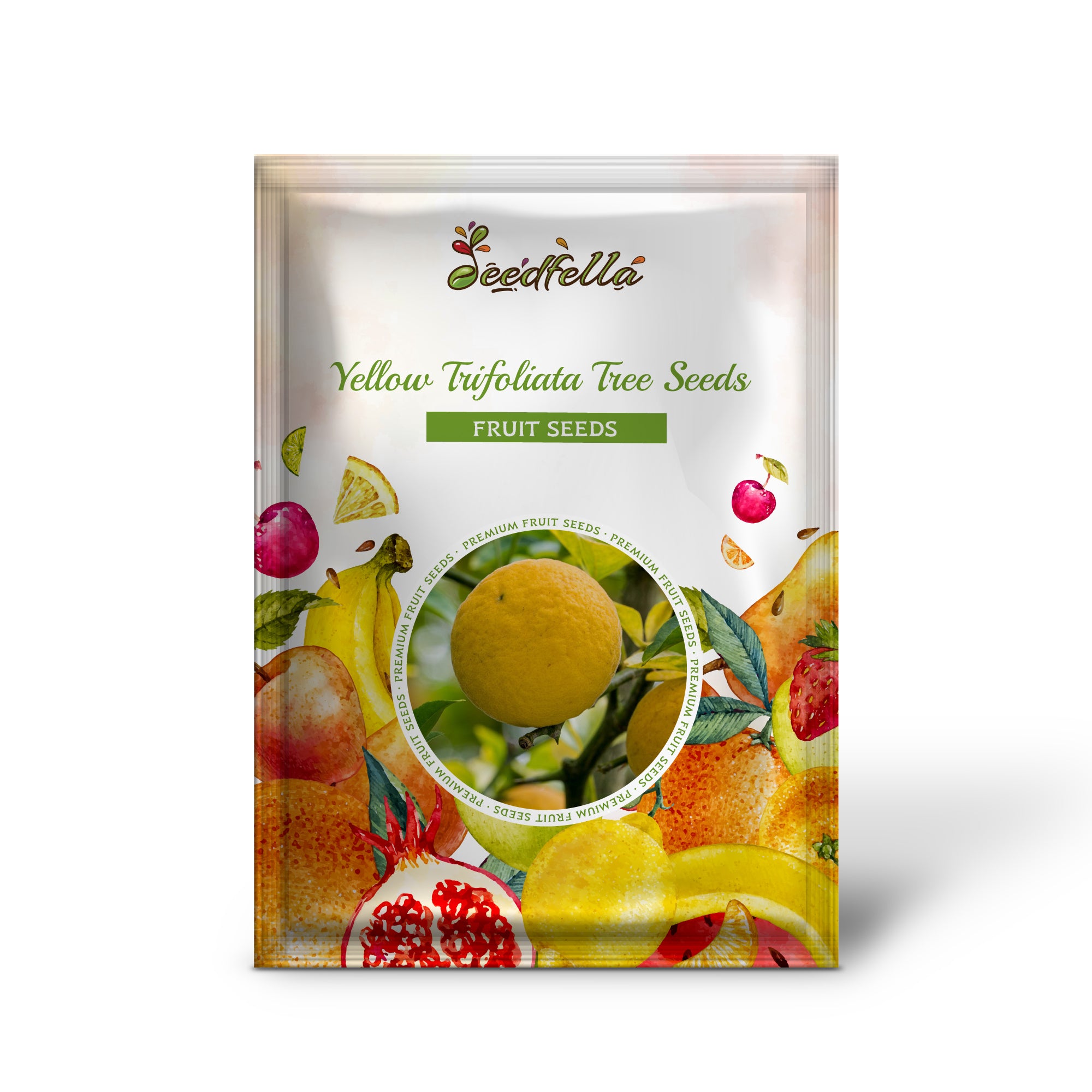 Hardy Trifoliate Orange seeds for home gardens