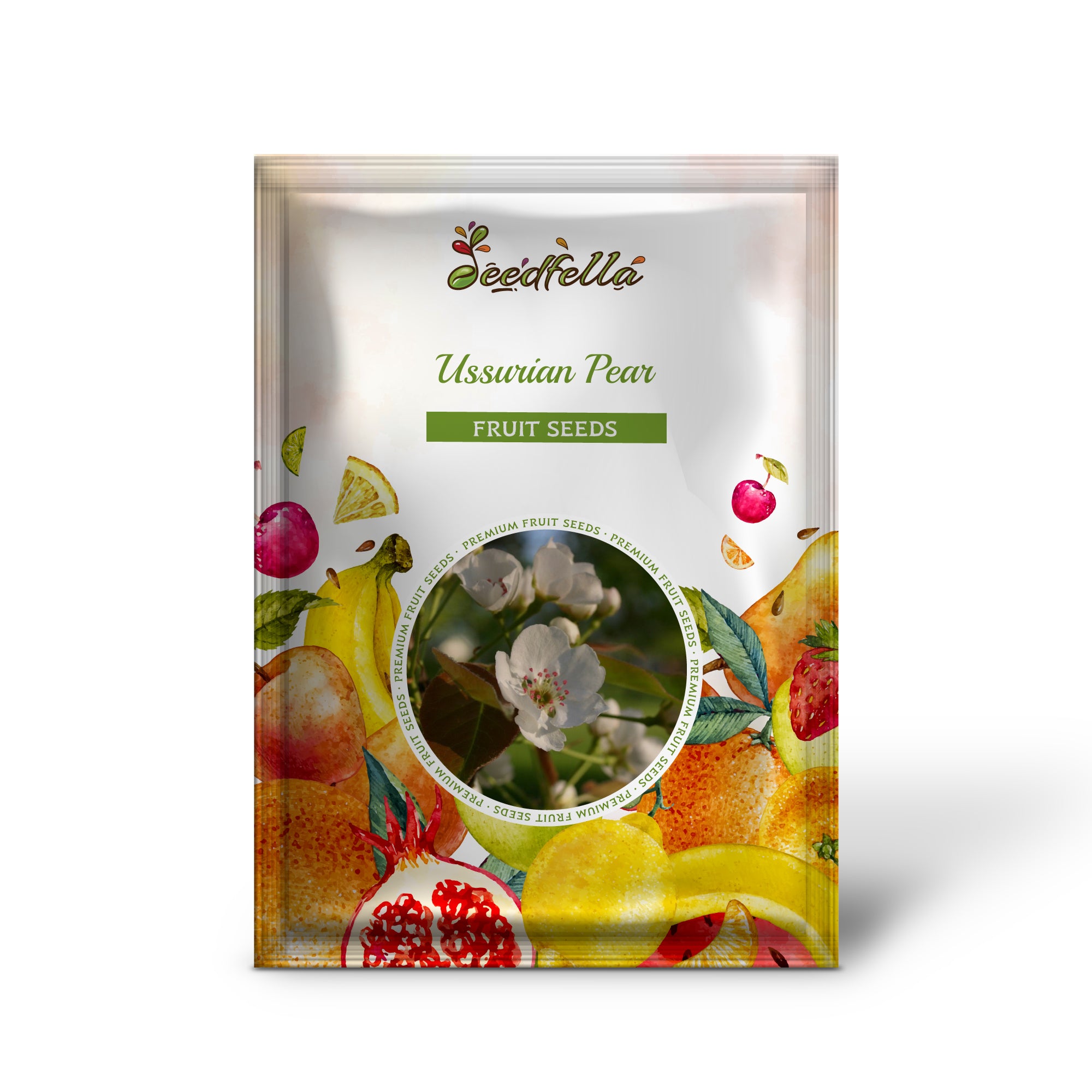 Hardy ussurian pear seeds showing red and orange fall foliage