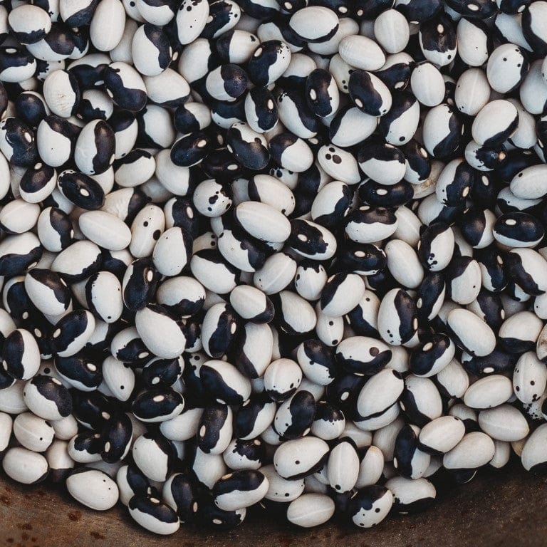 Freshly harvested Black and White Beans