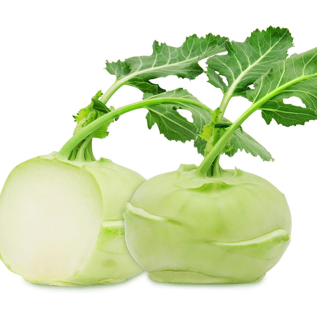 Freshly harvested Green Kohlrabi