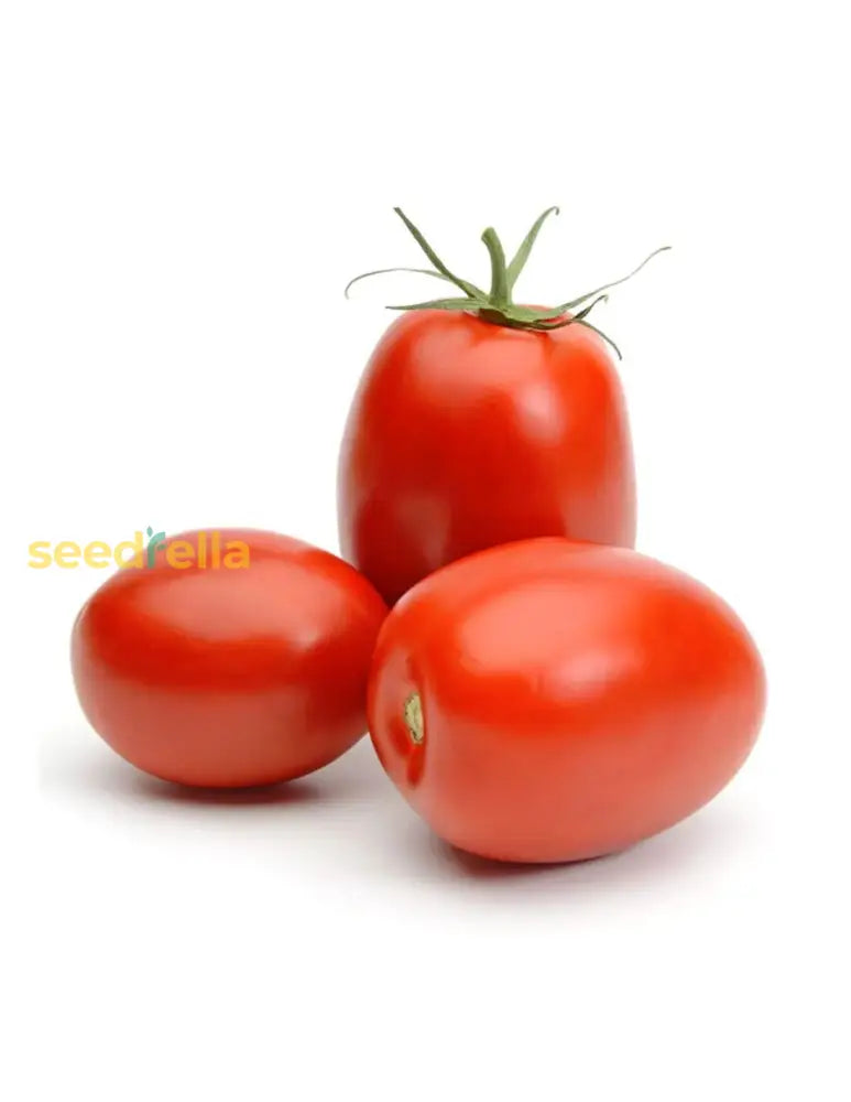 Heat tolerant Phoenix tomato seeds