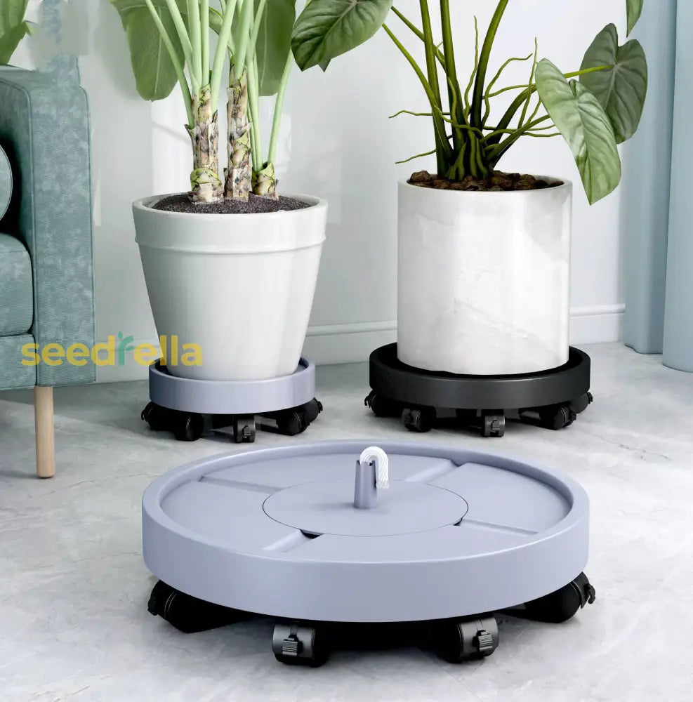 Heavy Duty Self-Watering Plant Pot With Wheels – Floor Standing Indoor & Outdoor Planter Caddy