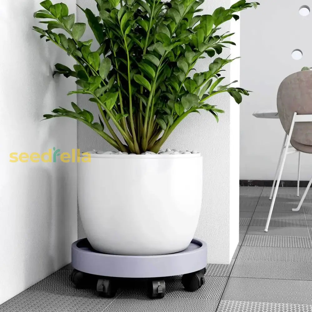 Heavy Duty Self-Watering Plant Pot With Wheels – Floor Standing Indoor & Outdoor Planter Caddy