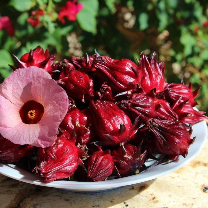 Heirloom Belchanda Tengamora seeds for planting