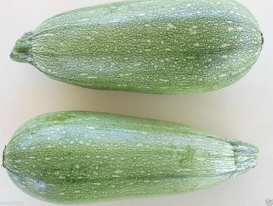 Heirloom gray zucchini seeds for home gardens