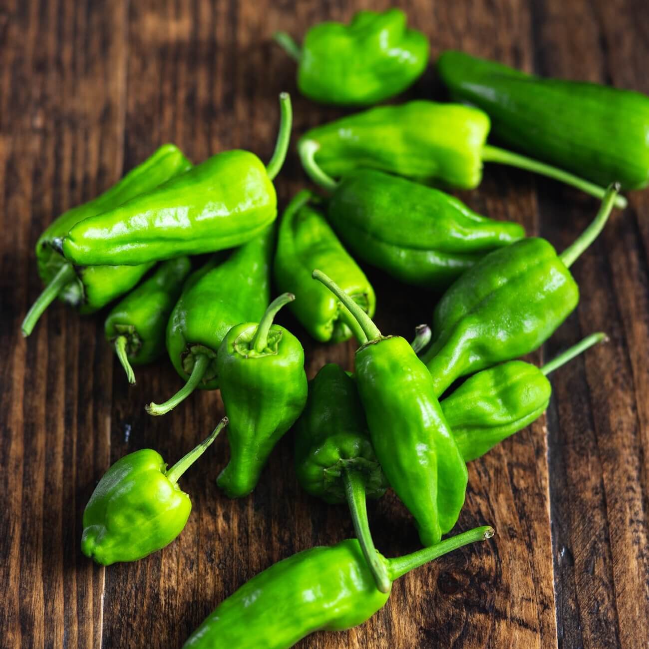 Heirloom Padron Pepper seeds for planting