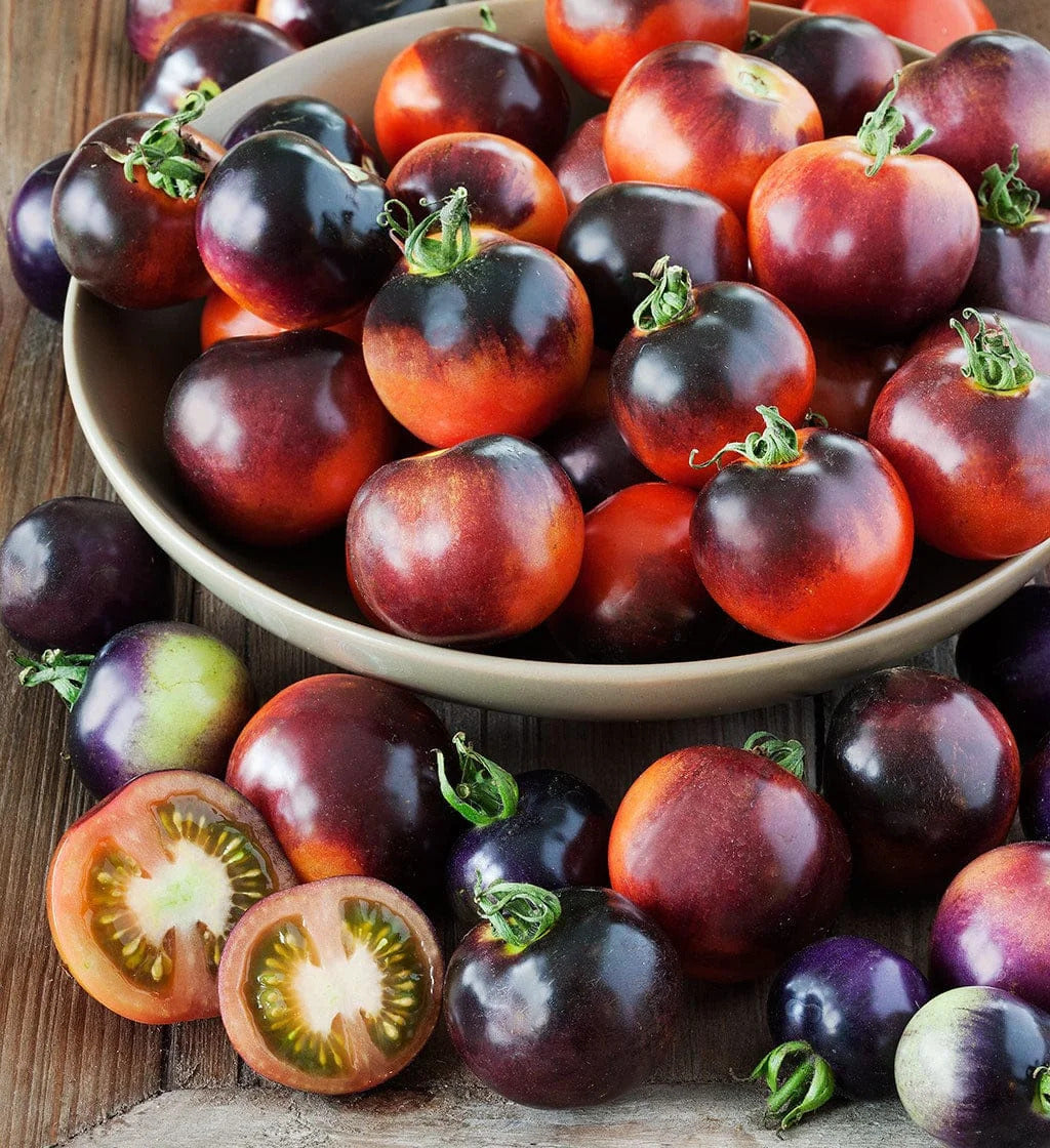 Heirloom tomato seeds for home gardening