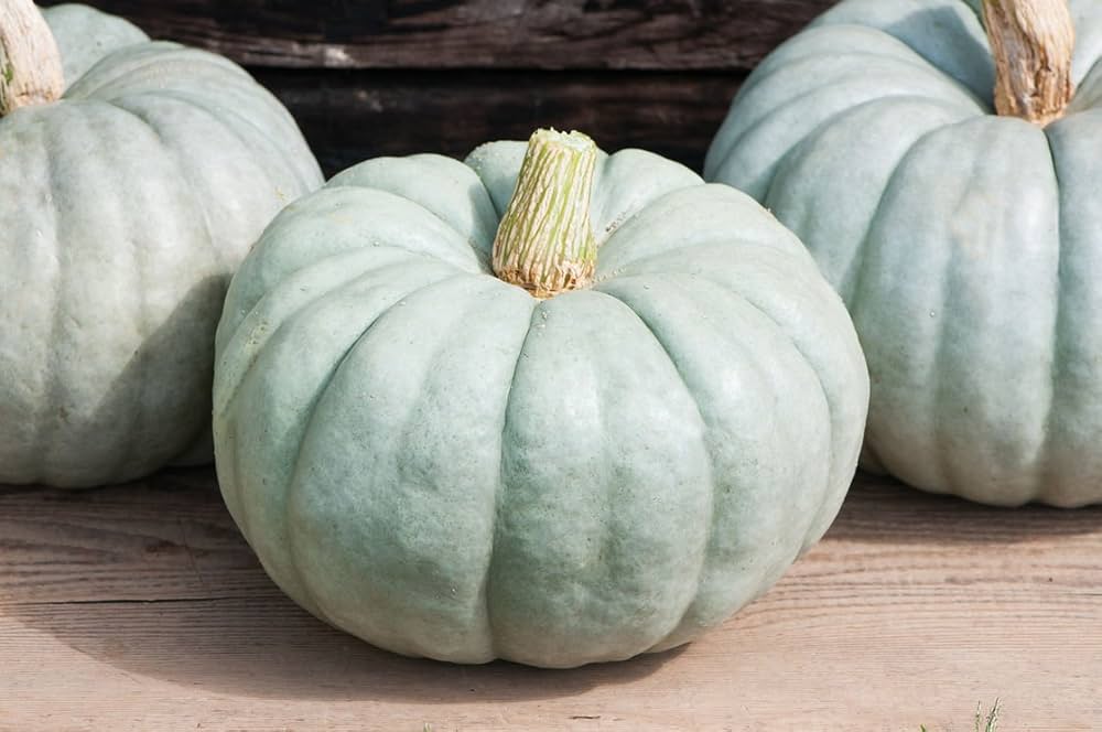 Heirloom White Jarrahdale Non GMO seeds