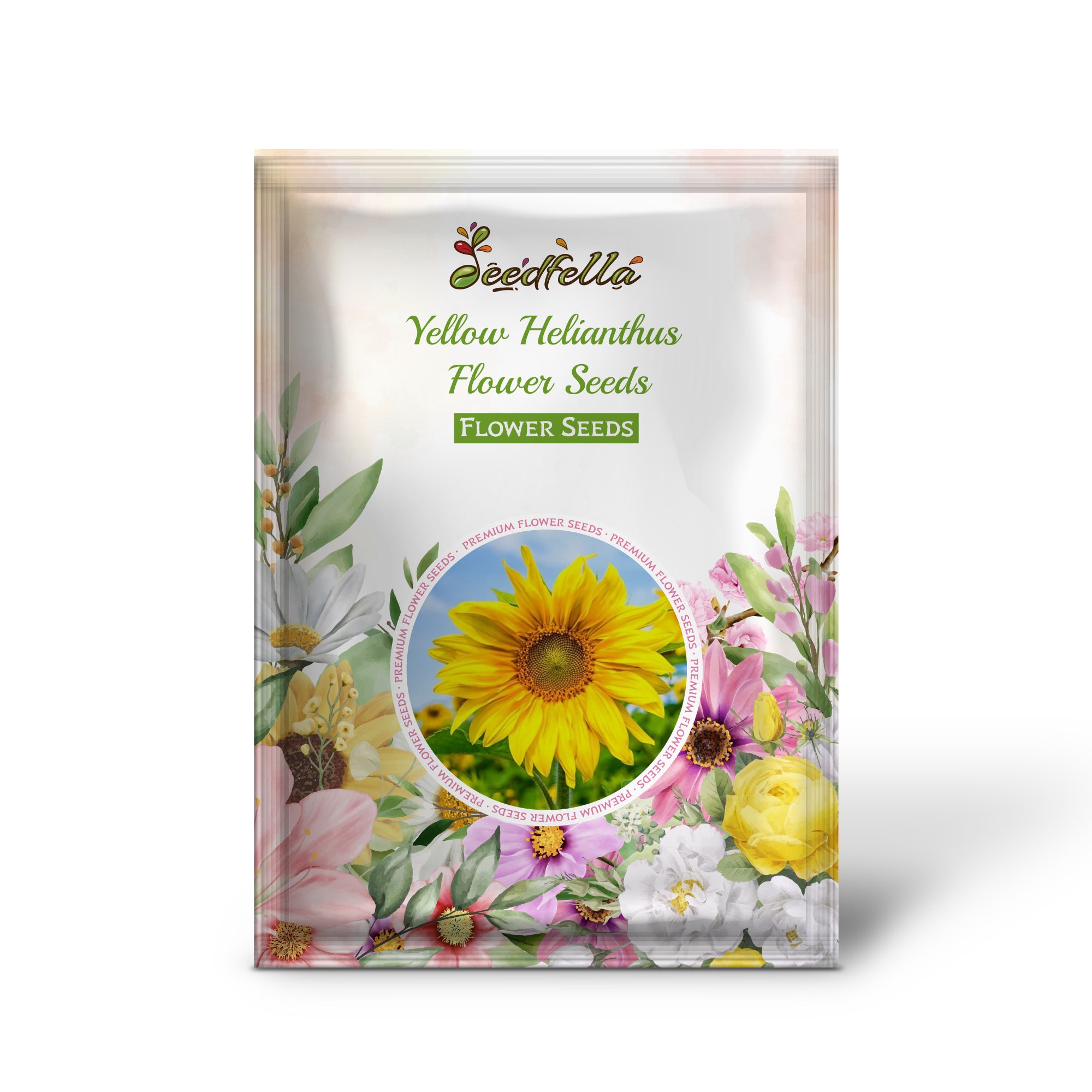 Helianthus Plants with Bright Yellow Blooms