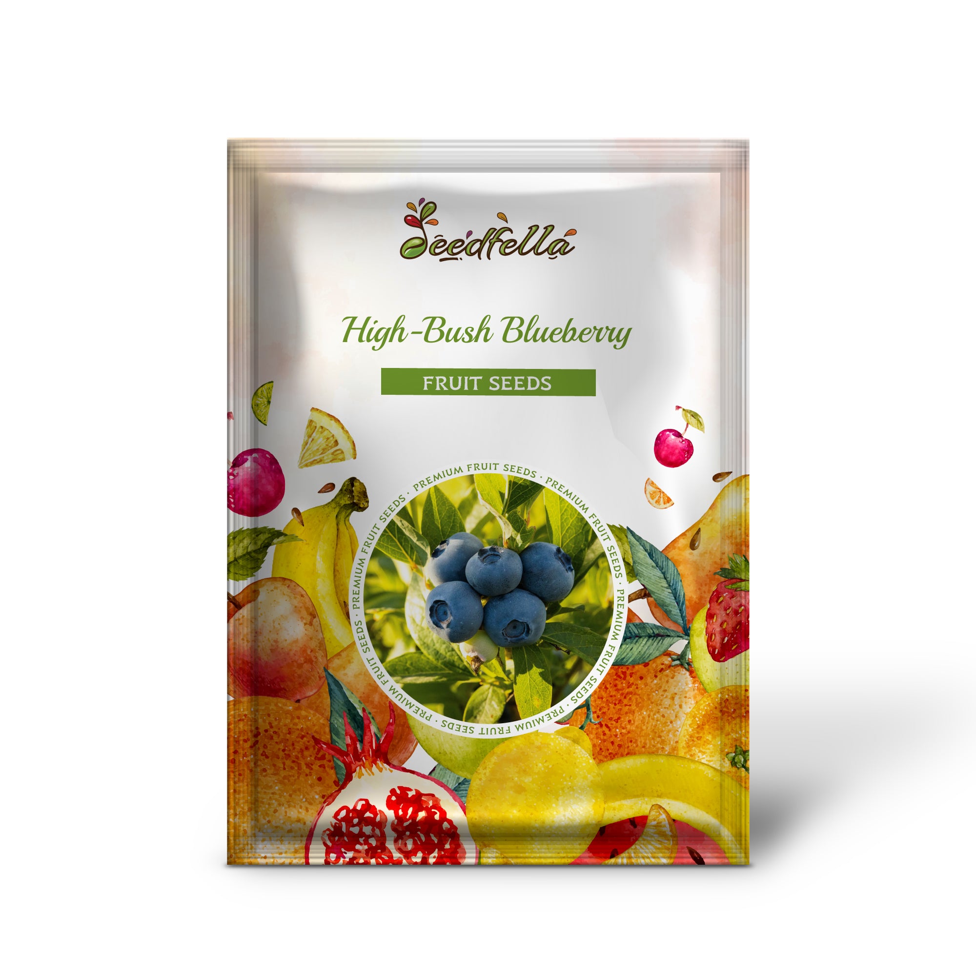 High-bush blueberry seeds showing ripe blue berries closeup