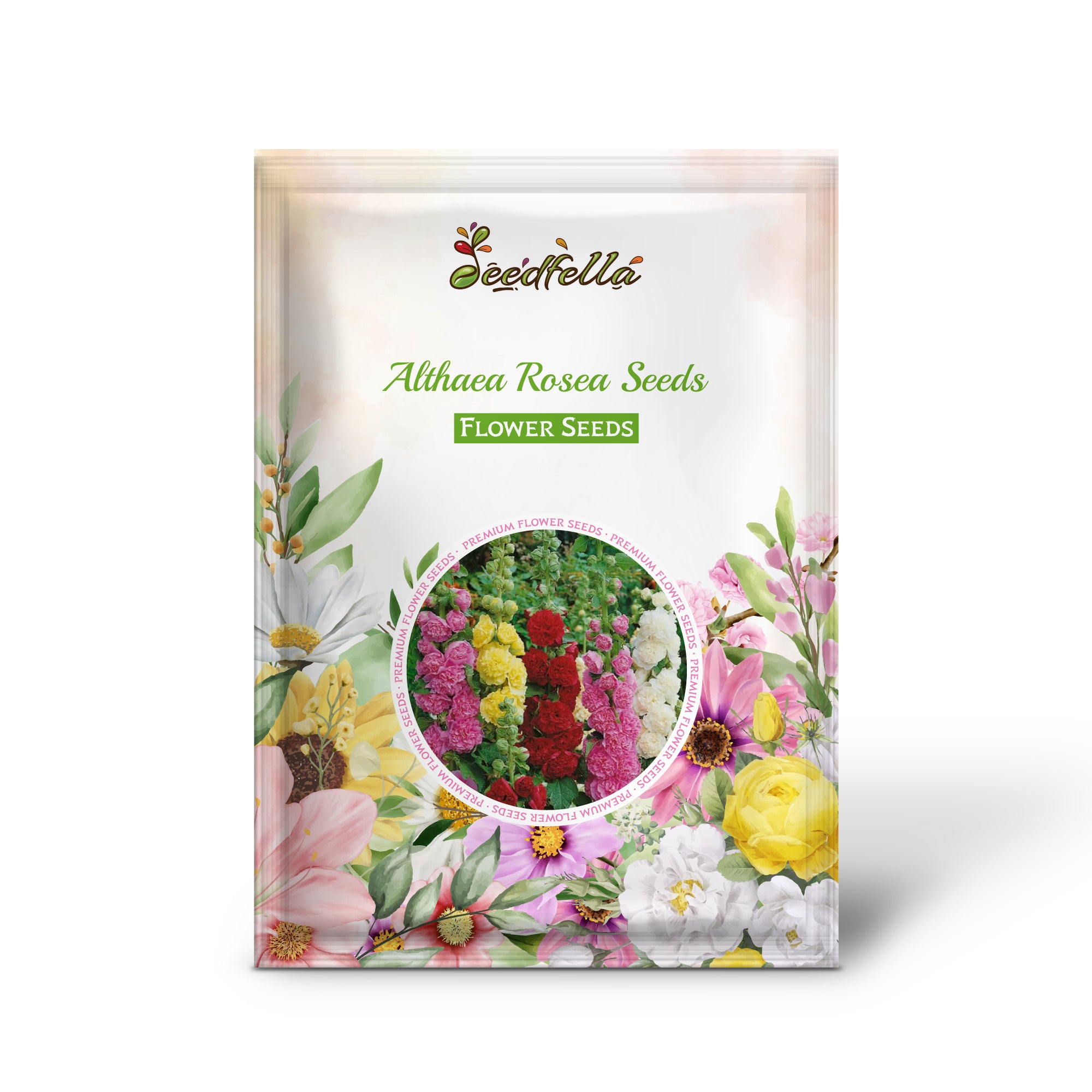 Mixed Color Hollyhocks in full bloom