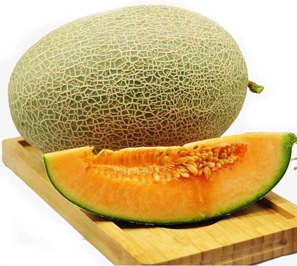Home Garden Brown Cantaloupe Melon Seeds for Easy Growing
