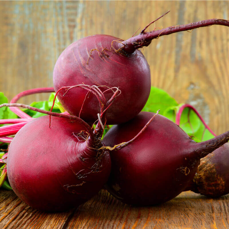 Sugar Beet seeds for backyard planting