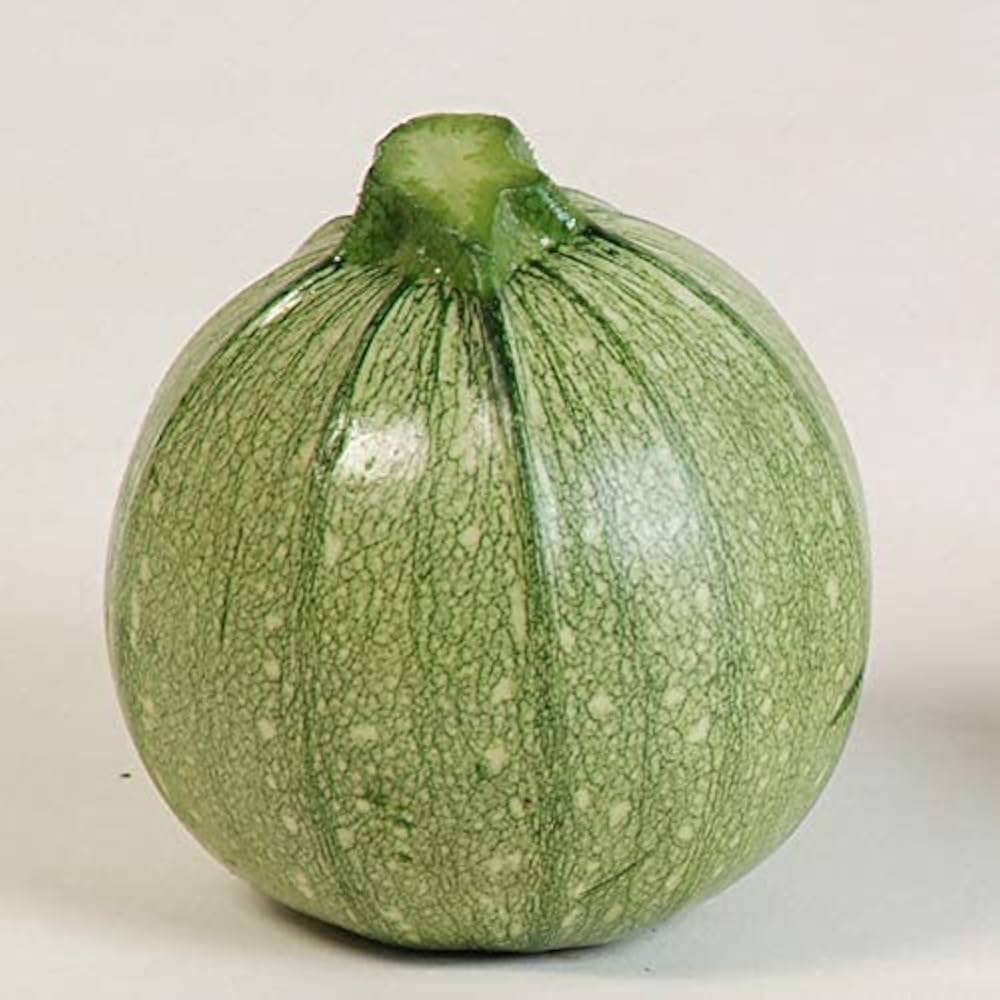 Summer Squash seeds for backyard planting