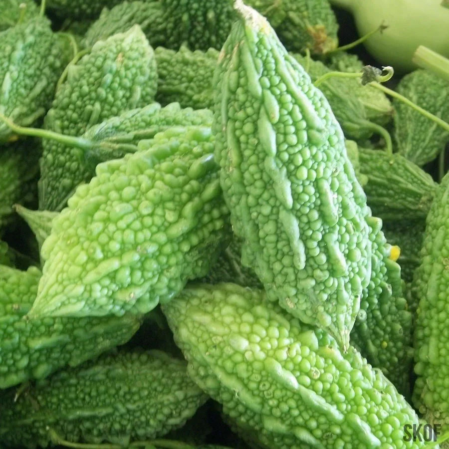 Pinkdose vegetable seeds for home garden growing