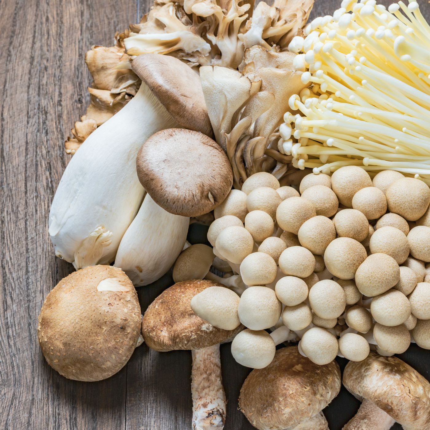 Home-Grown Mixed Mushrooms from Non-GMO Seeds