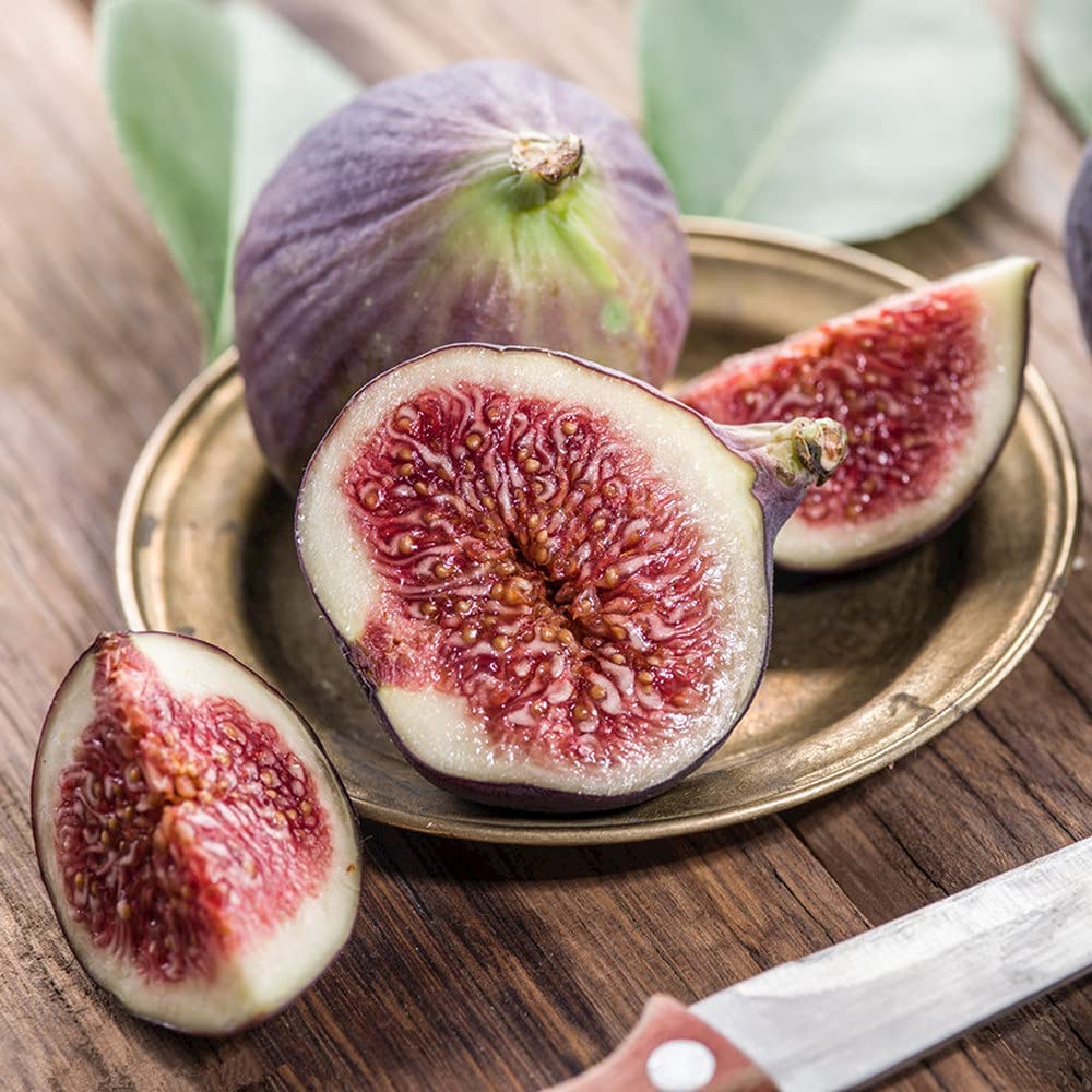Four Seasons Sweet Honey Fig seeds for balcony fruit growing