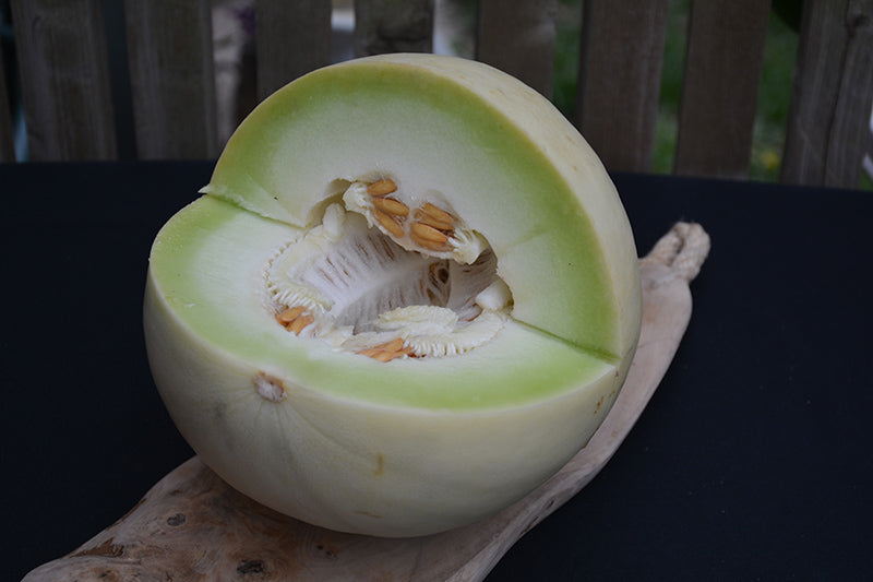 Honeydew melon seeds non-GMO sweet green-flesh fruit