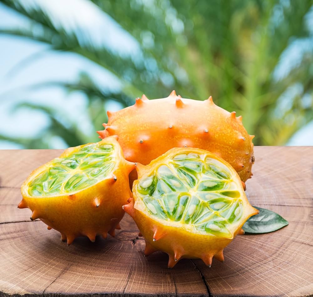 Spiky Kiwano fruit grown from Horned Cucumber Kiwano Seeds