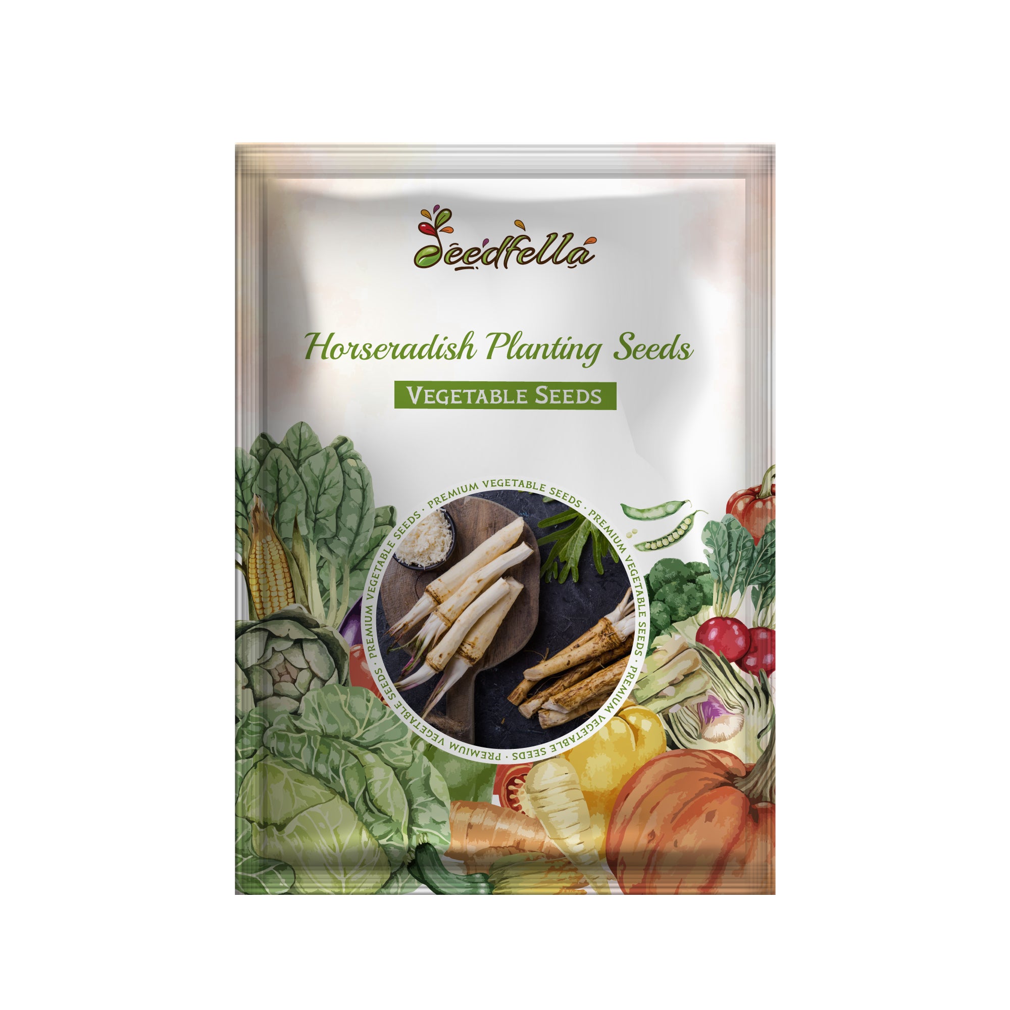 Horseradish seedlings sprouting in soil