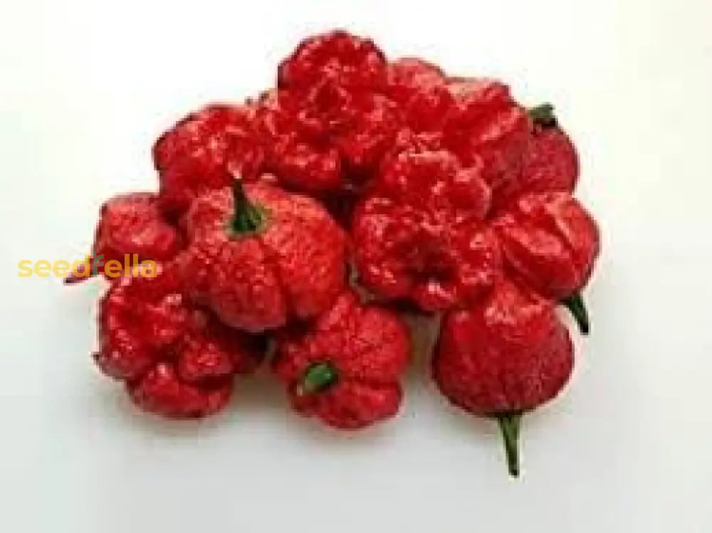 Hurt Berry Pepper Seeds For Planting Vegetable Seeds