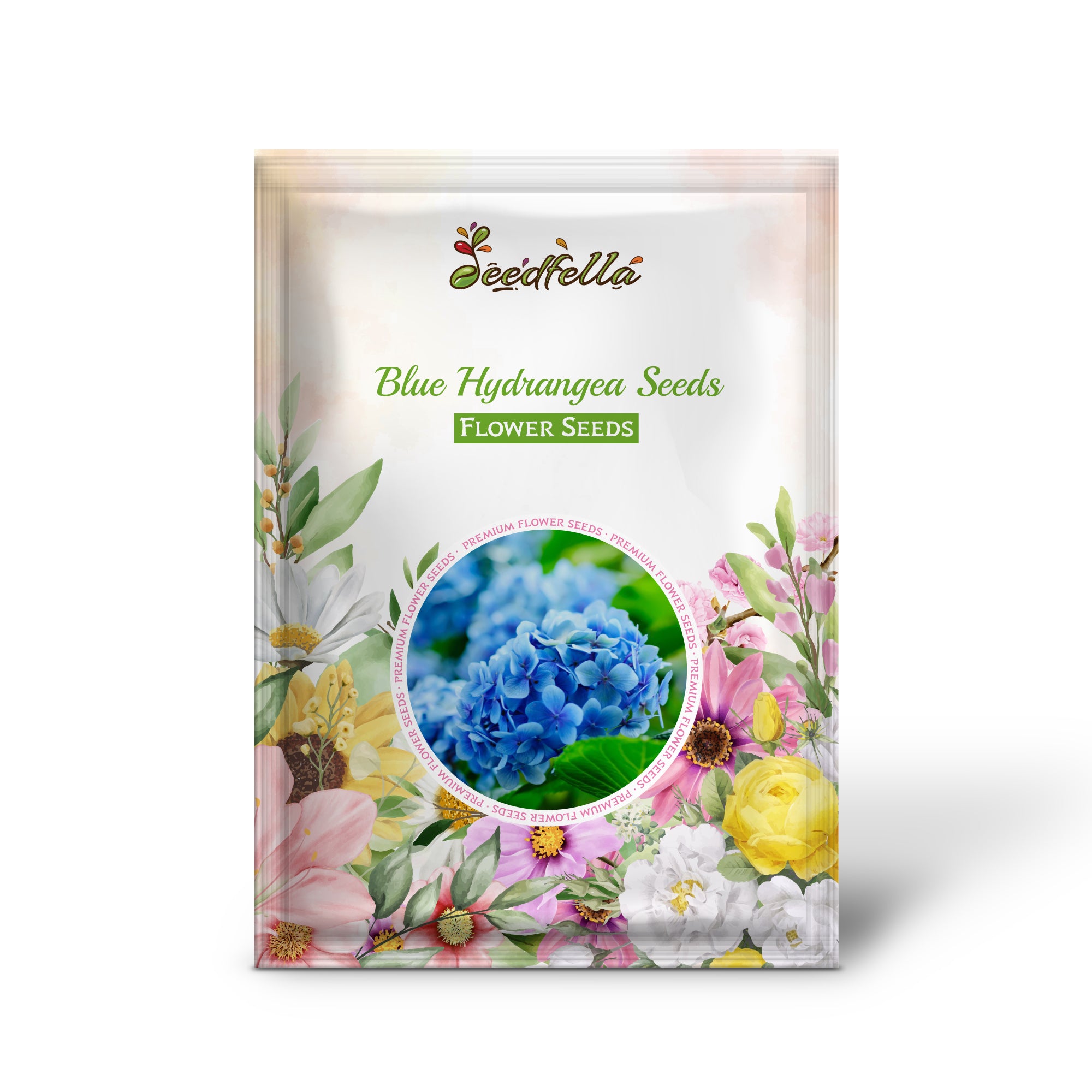 Blue Hydrangea flowers in full bloom