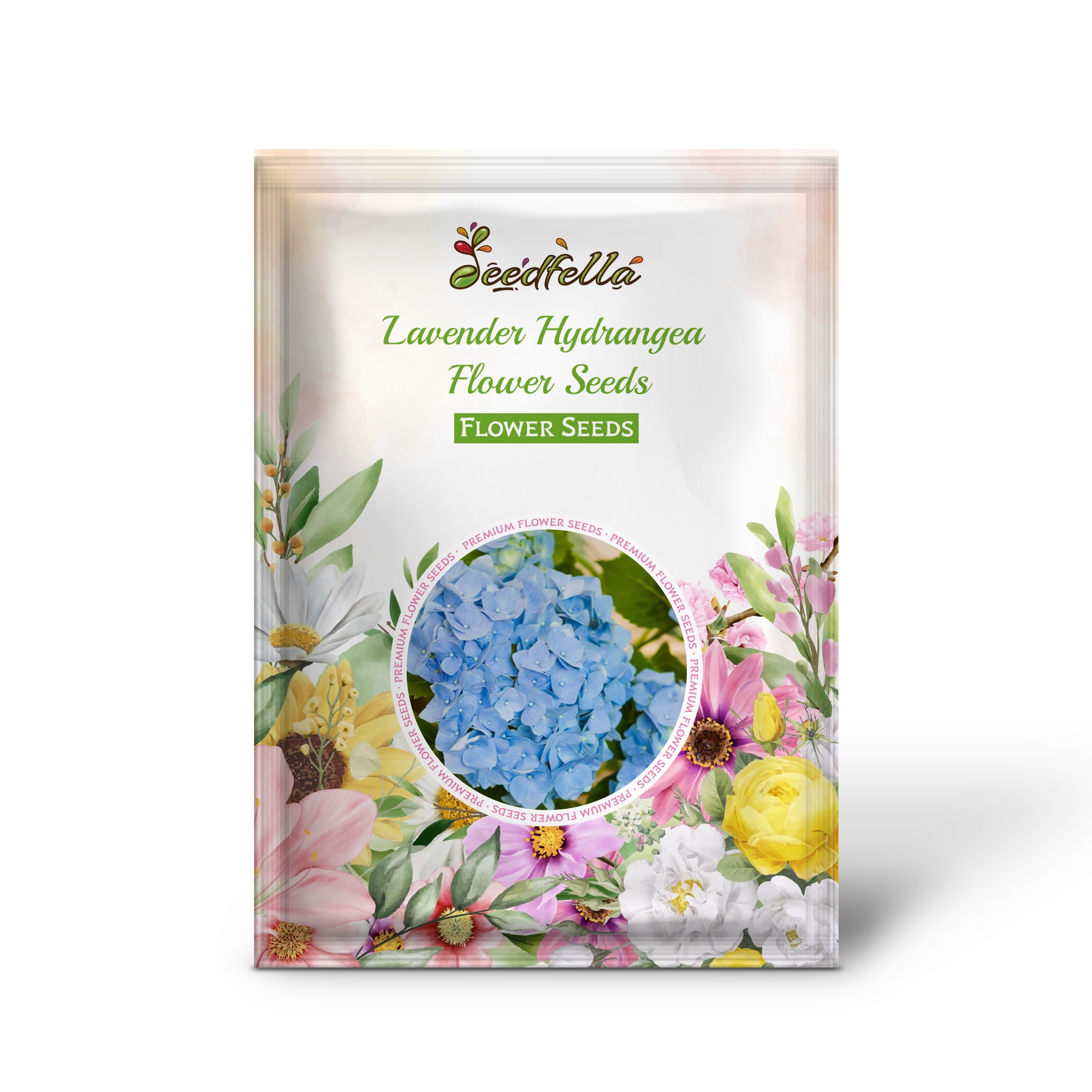 Lavender Hydrangea flowers in full bloom