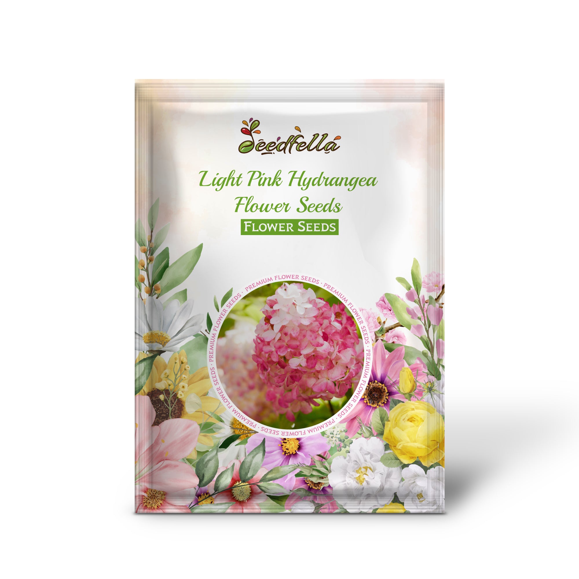 Light Pink Hydrangea flowers in full bloom