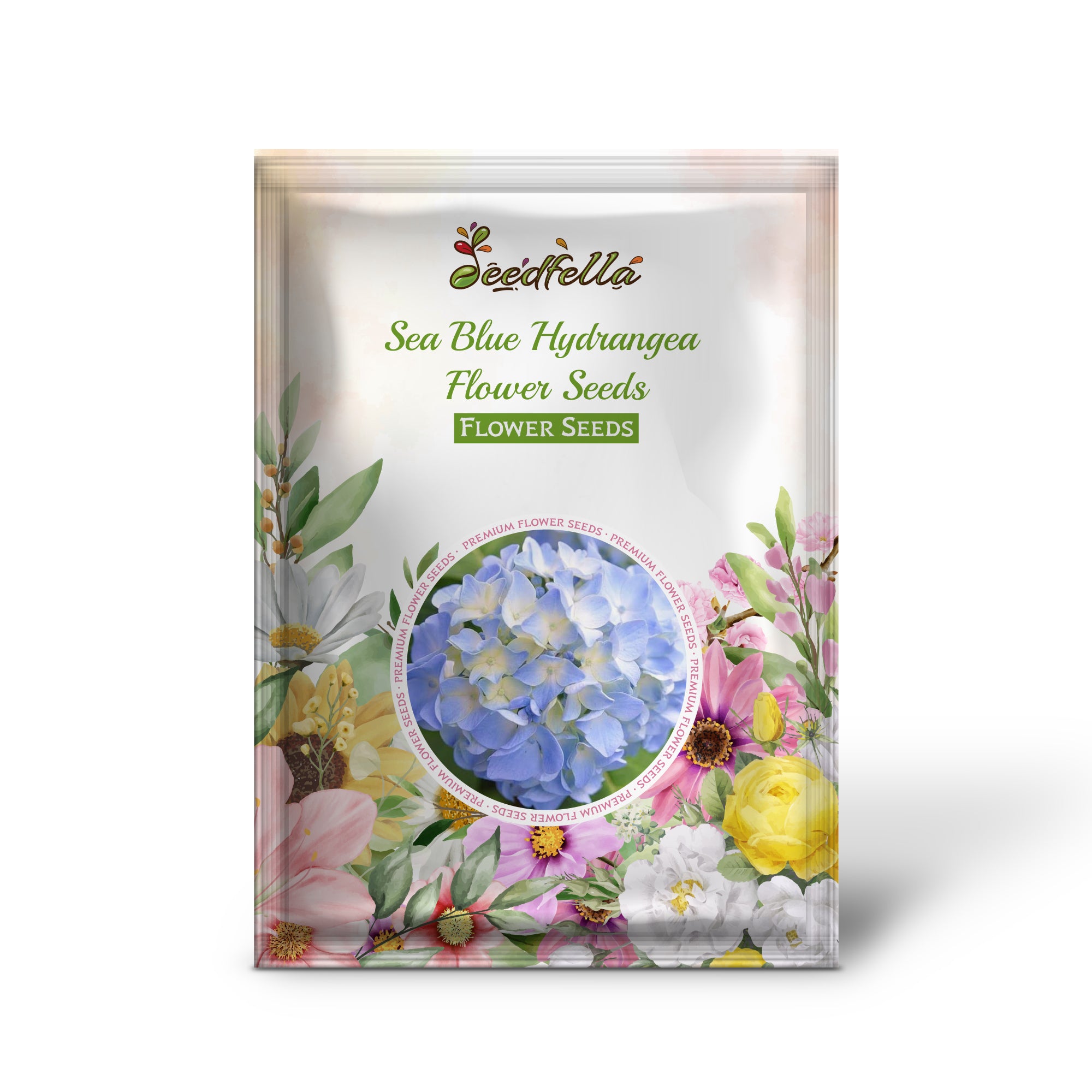 Hydrangea Sea Blue Seeds For Planting