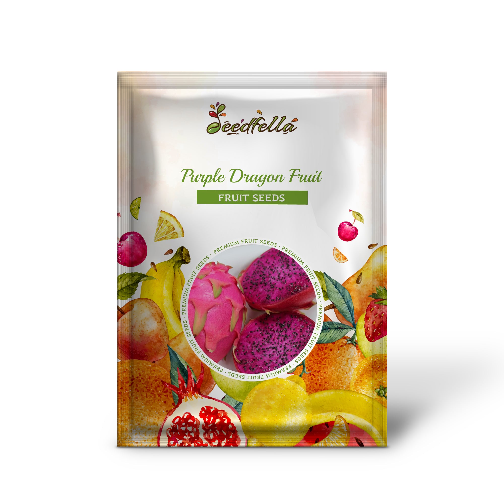 Hylocereus undatus cactus plant with climbing stems