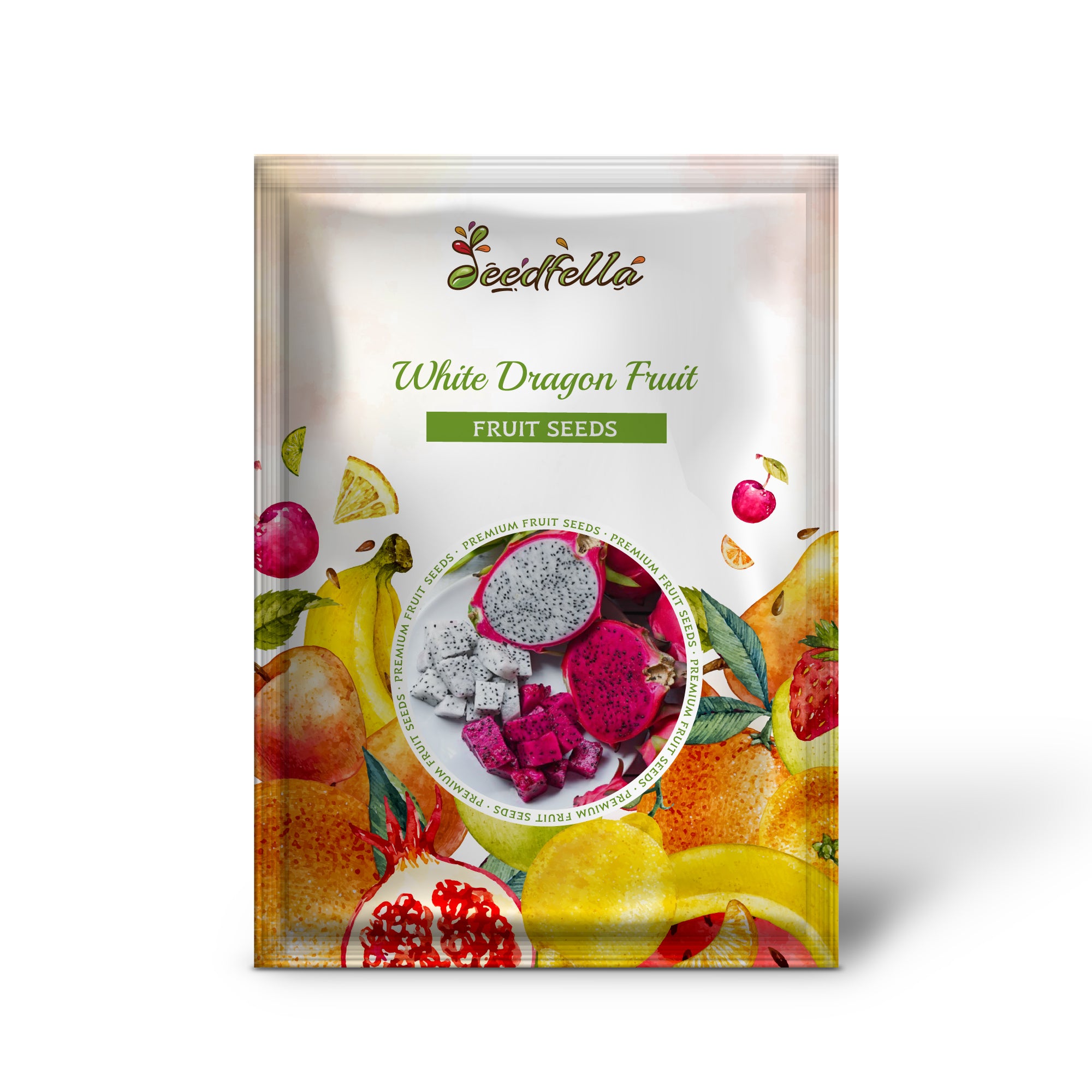 Hylocereus undatus seedlings growing from seed