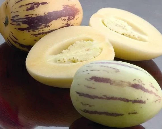 Pepino Dulce Melon Seeds - Unique Fruit Planting For Your Garden