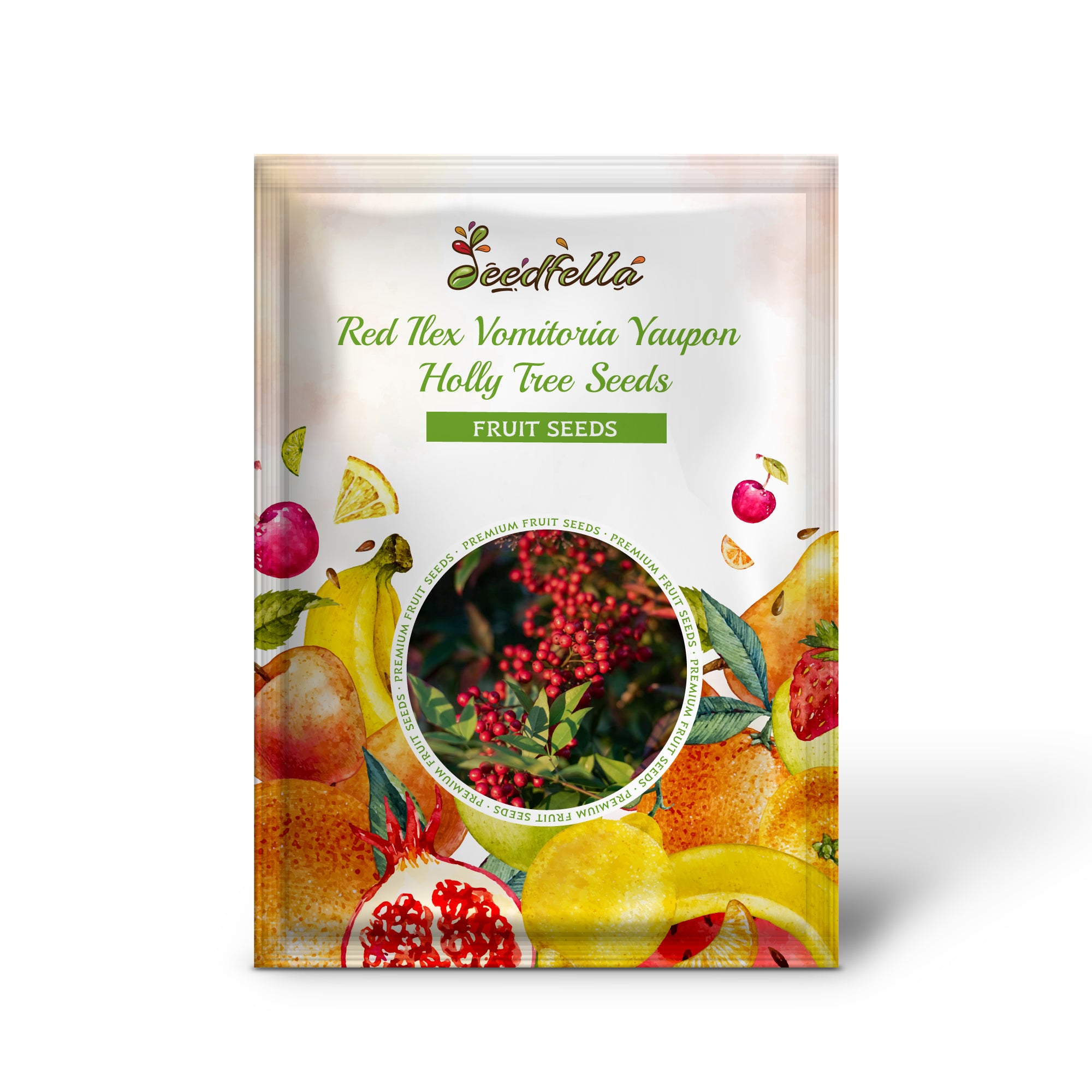 Ilex Vomitoria Seeds for Evergreen Landscaping