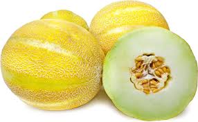 Lemon Drops Melon Cucumis melo for planting in garden
