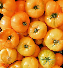 Black And Orange Tomato Seeds For Planting Vegetable Seeds