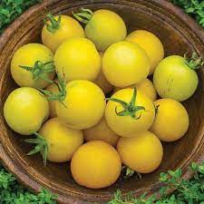 Light Yellow Tomato Seeds For Planting Vegetable Seeds