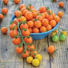 Orange Grape Tomato Seeds For Planting