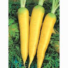 Amarillo Vegetable Seeds: Essential Guide For Successful Planting