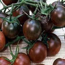 Brown Tomato Seeds For Planting Vegetable Seeds