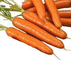 Bambina Carrot seeds for baby carrots