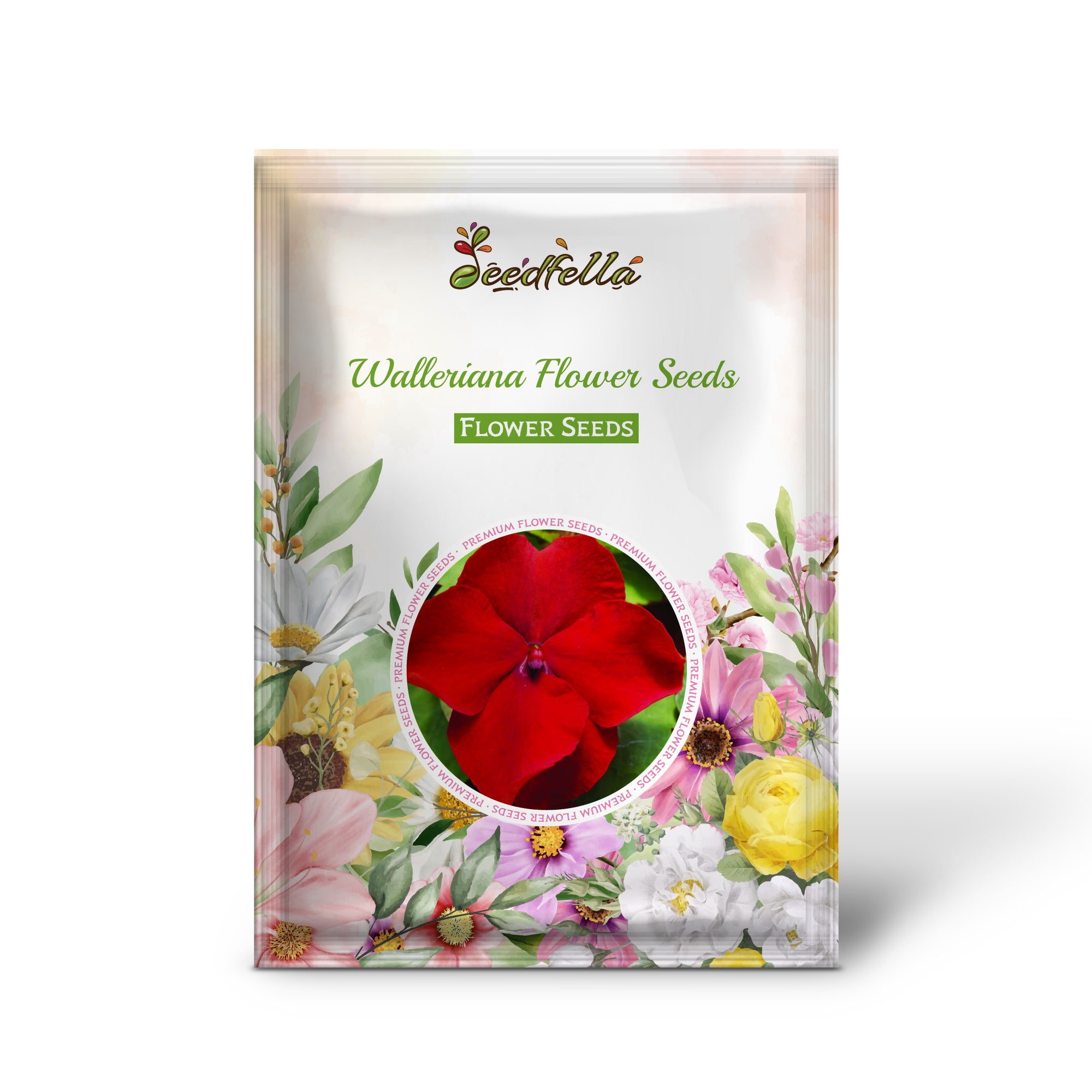 Impatiens Walleriana Seeds producing vibrant hardy blooms