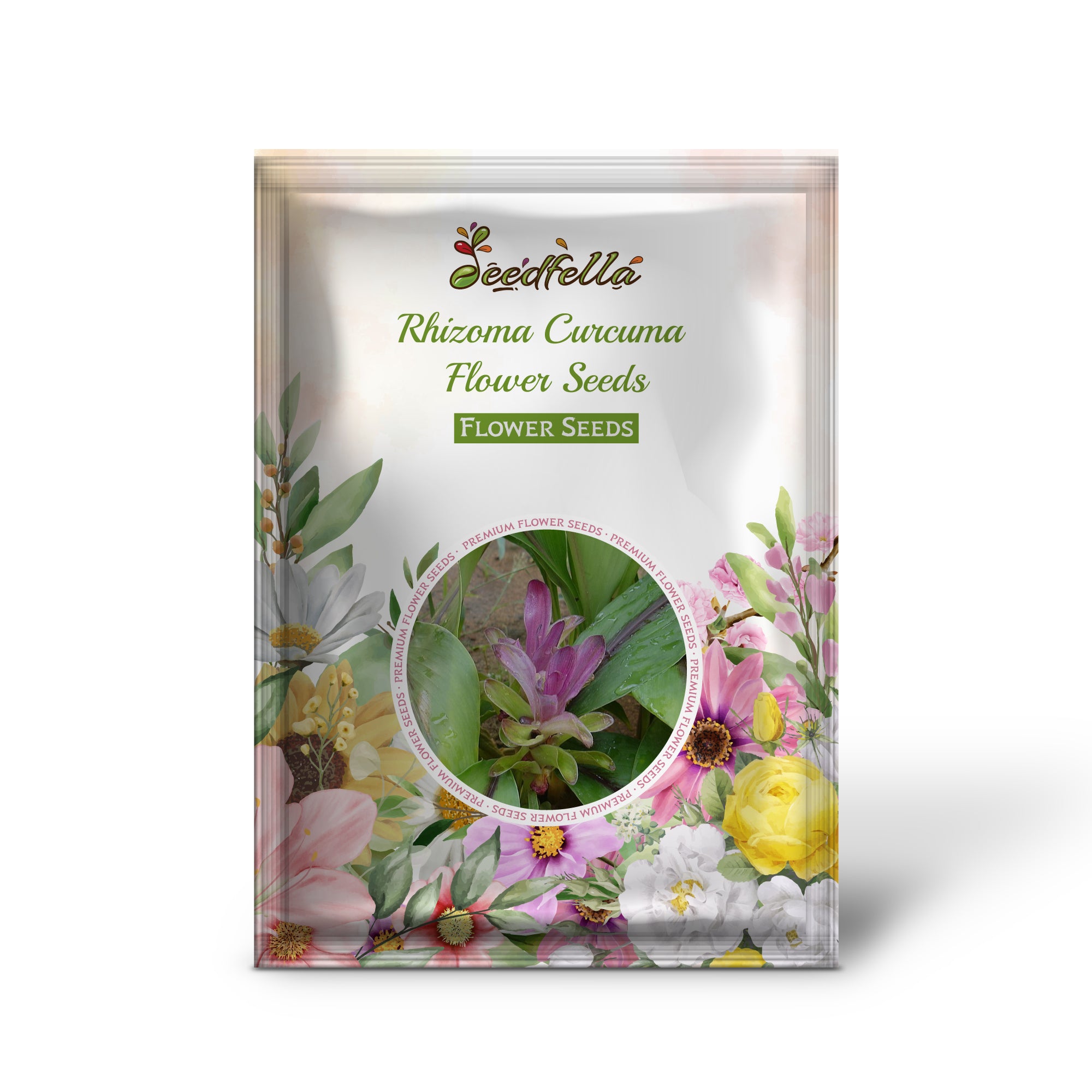 Indoor Rhizoma Curcuma Seeds
